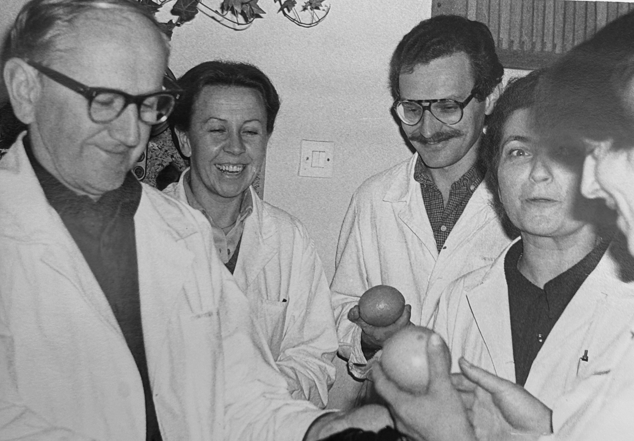 Kilka os&oacute;b w fartuchach lekarskich stoi blisko siebie, uśmiechniętych, w atmosferze raczej nieformalnej i przyjaznej.